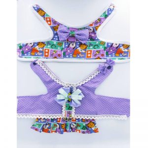 Conjunto Arnés