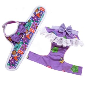 Conjunto Lady